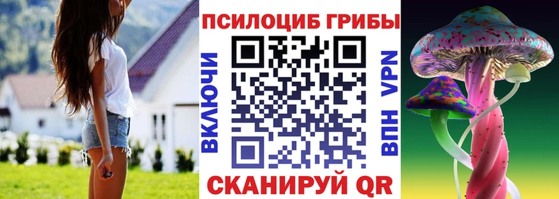 Галлюциногенные грибы MAGIC MUSHROOMS Белокуриха