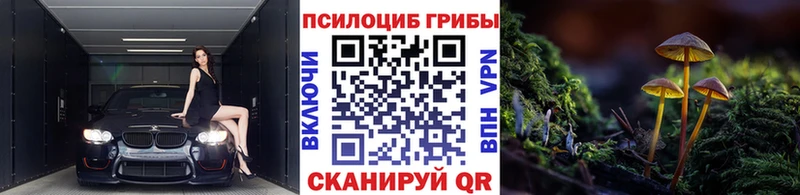 Галлюциногенные грибы MAGIC MUSHROOMS дарк нет Telegram Белокуриха